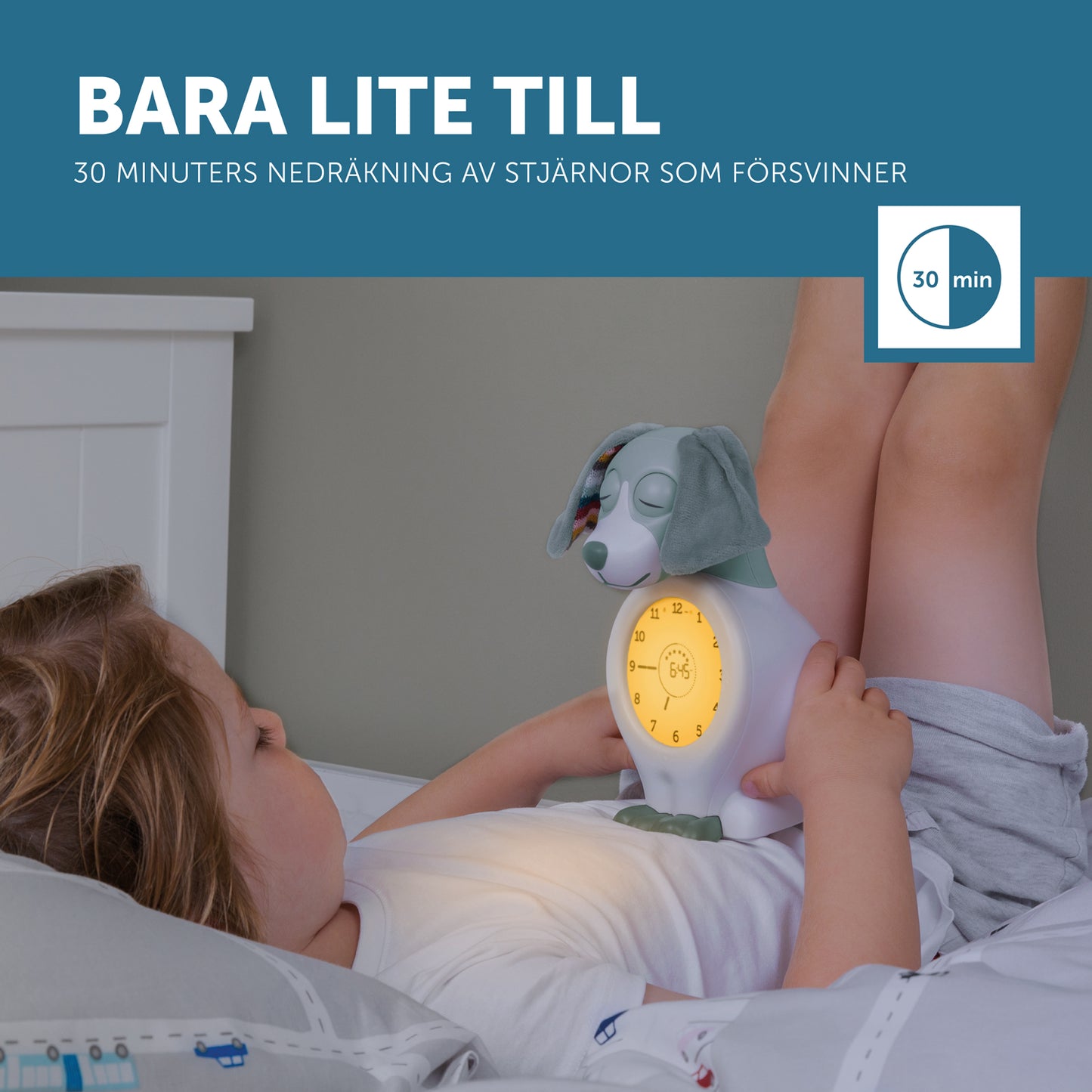 Zazu Sleep Trainer Davy Green