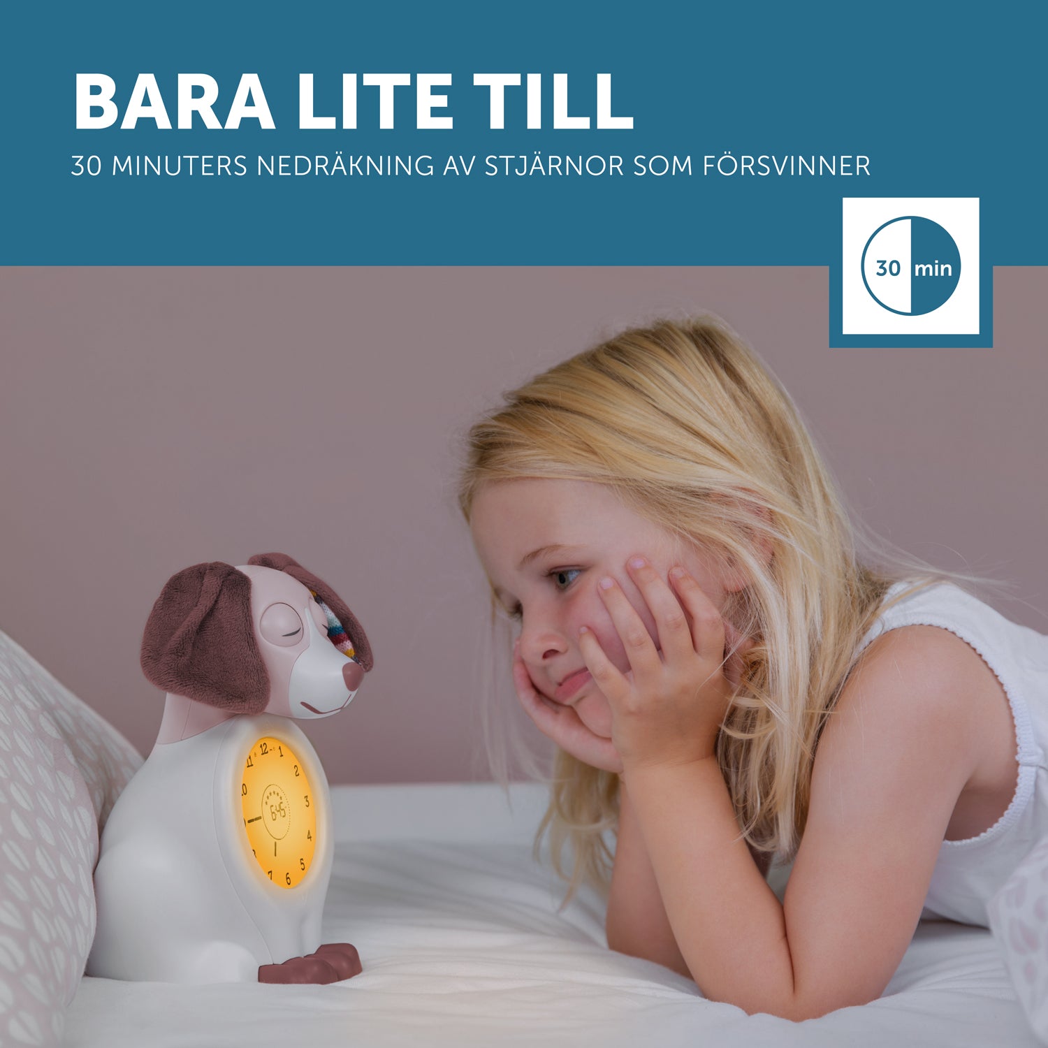 Zazu Sömntränare Davy Rosa