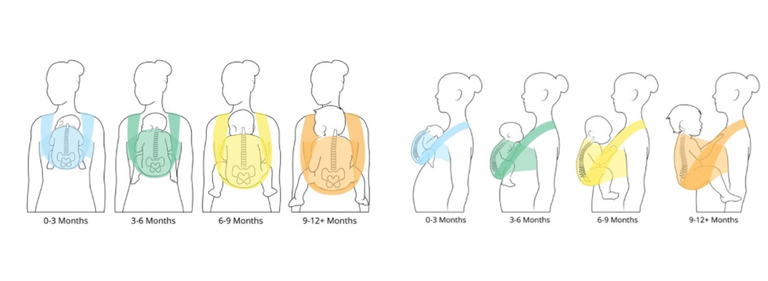 Ergonomiskt bärande under barnets första år – så anpassar du bärandet när ditt barn växer