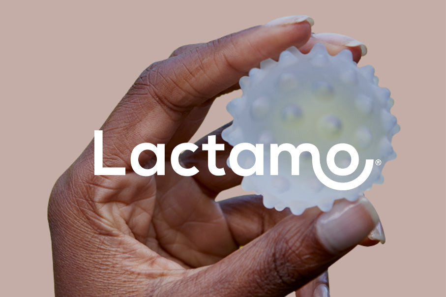 Lactamo