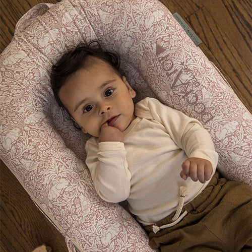 DockATot Deluxe+ Babynest, Brer Rabbit (William Morris)