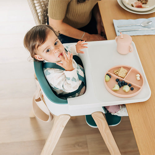 UPPAbaby Ciro High Chair, Emrick Green