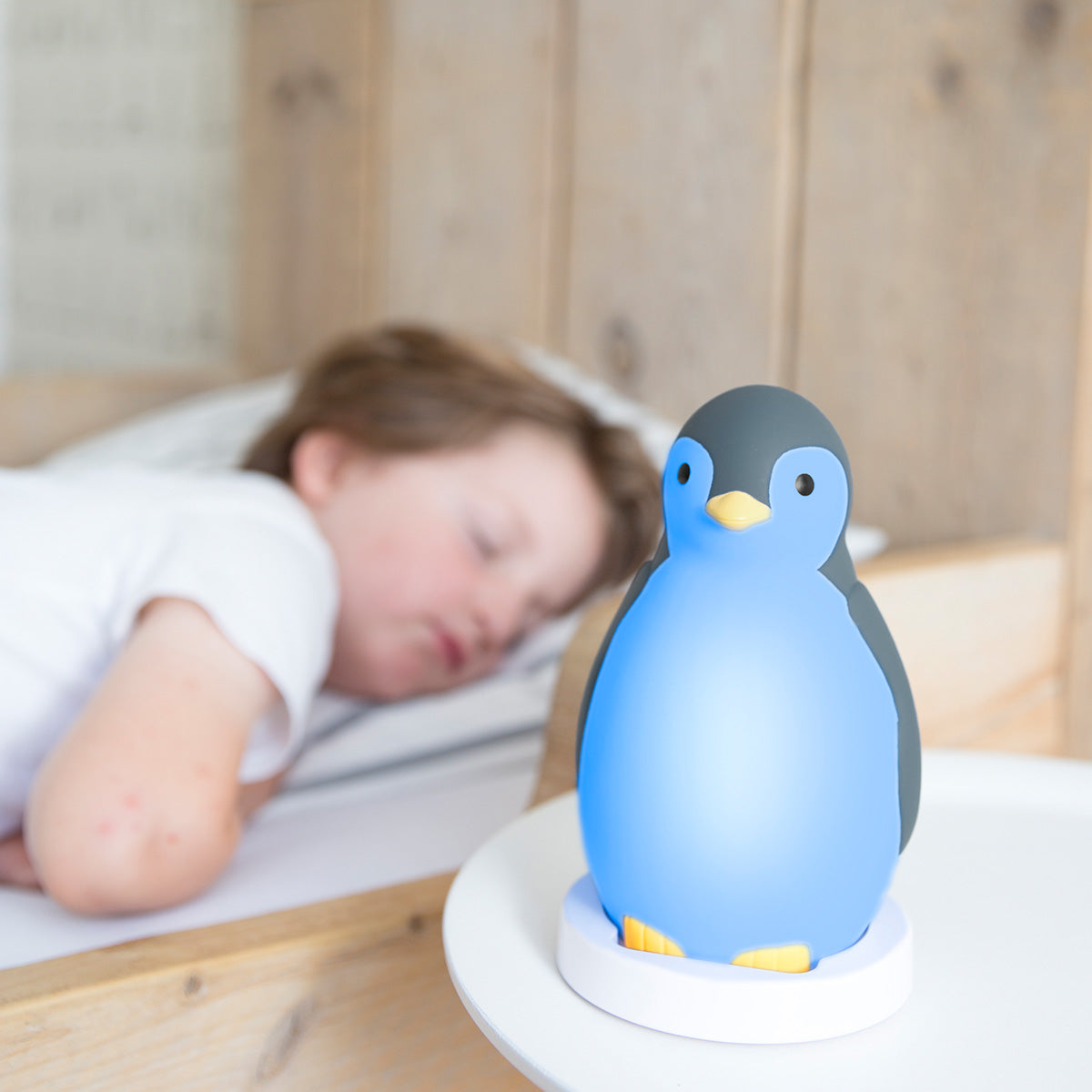 Zazu Sleep Trainer Pam Gray