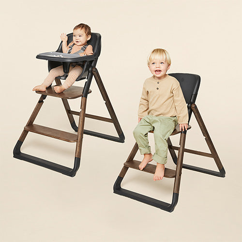 Ergobaby-Evolve 2-i-1 matstol med babyset, Mörk-reirei
