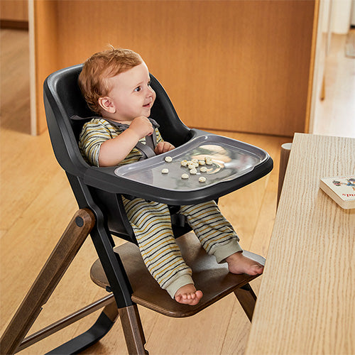 Ergobaby-Evolve 2-i-1 matstol med babyset, Mörk-reirei
