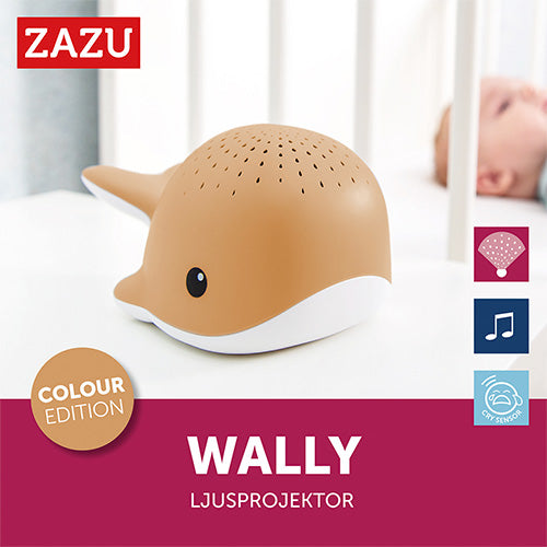 Zazu-Projektor Wally Camel-reirei