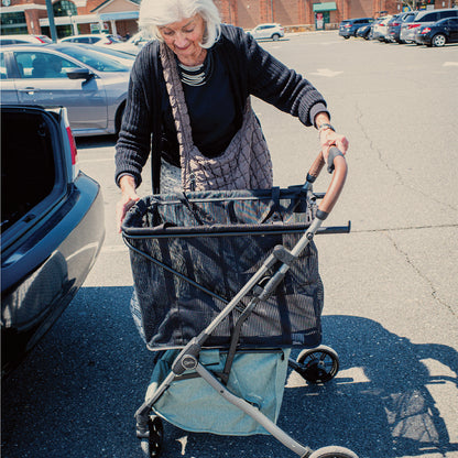 Strolee Shopping Cart, Gray