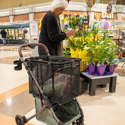 Strolee Shopping Cart, Gray