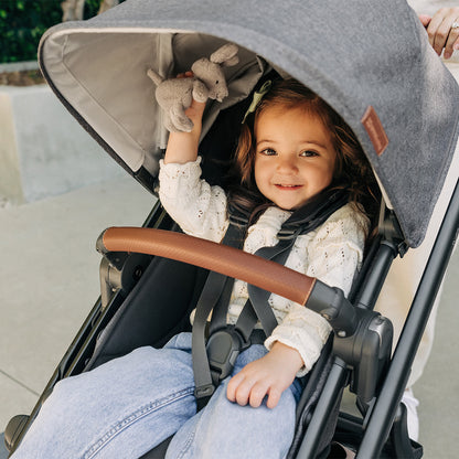 UPPAbaby-Vista V3 Greyson Duopaket-reirei